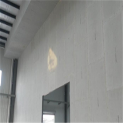 咸丰新型建筑材料掺多种工业废渣的ALC|ACC|FPS模块板材轻质隔墙板